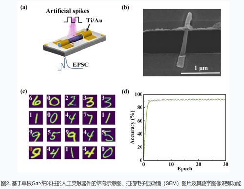 新型氮化镓基光电器件 中国科学院突破效率瓶颈，助推绿色半导体革命